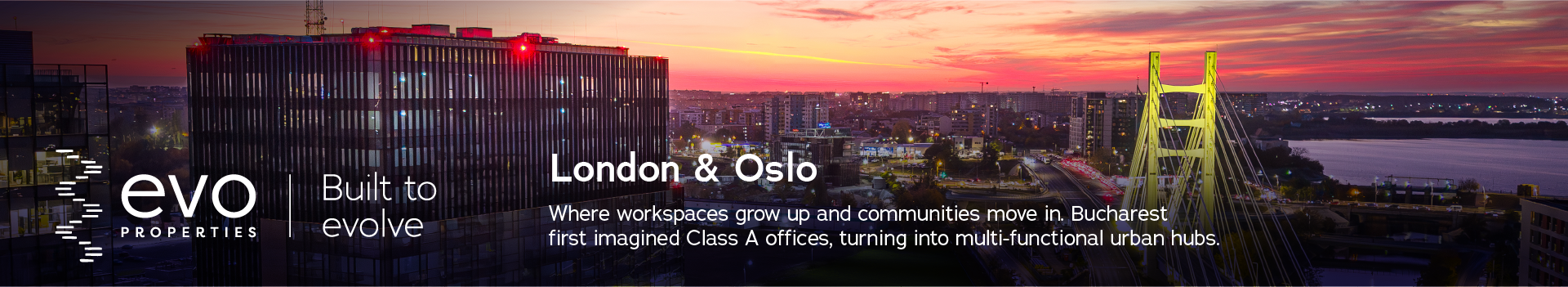 Banner Evo Properties 1920 x 350px